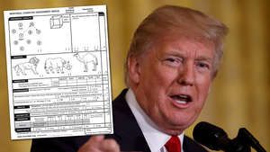Geistig frisch - oder nicht? Donald Trump hat jetzt sein Gehirn testen lassen.