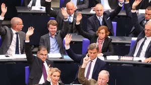 AfD im Bundestag.